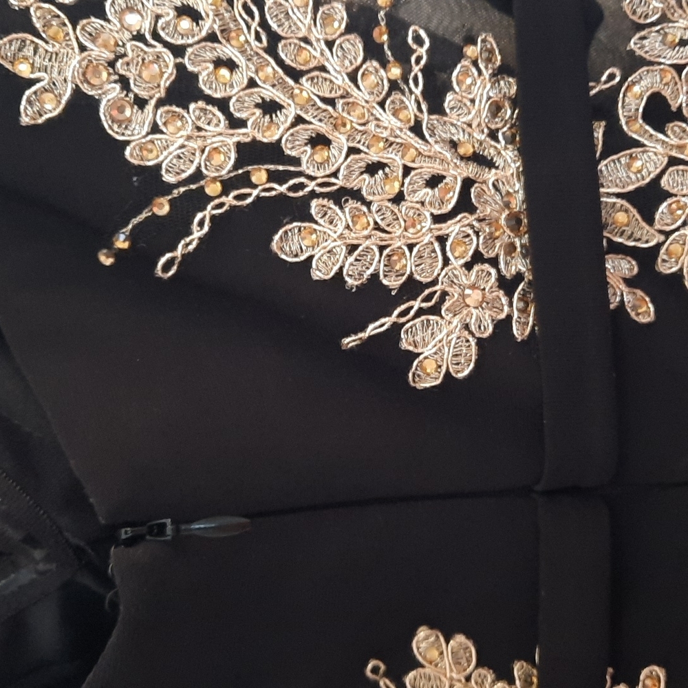 Cachet prom dress/gown - Picture 5 of 6